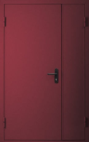 Полуторапольная глухая противопожарная дверь EI 60 с порошковым напылением (RAL 3007)